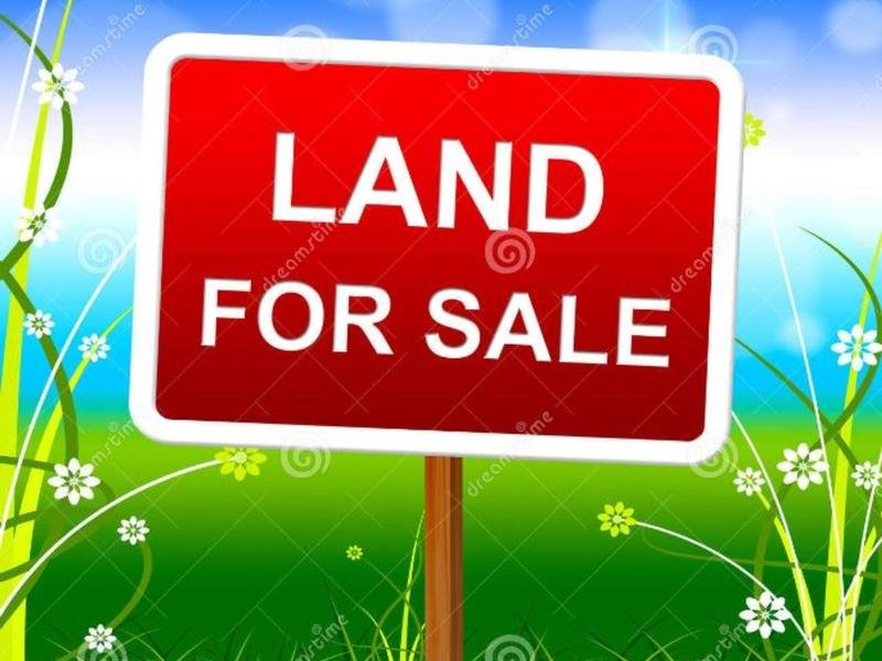 Lot 19 – Discounted Best Price in Austral